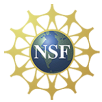 Logo: National Science Foundation